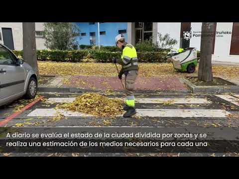 video hojas