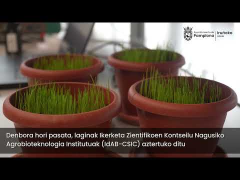 Iruñeko herritarrek beren balkoietan arnasten den airearen kalitatea frogatzeko aukera dute loreontzi txikien bitartez