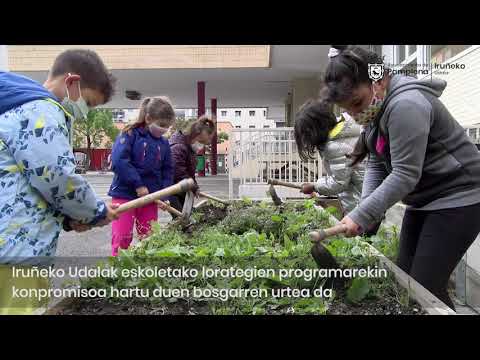 Ingurumen-jasangarritasunari buruzko hezkuntza eskola-baratzeen bidez