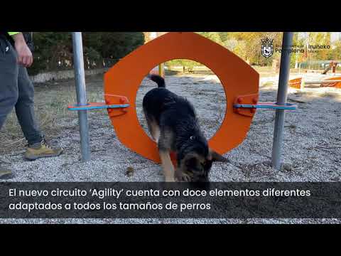 Pamplona estrena un circuito ‘Agility’, con 3.500 metros cuadrados en el Parque de Trinitarios