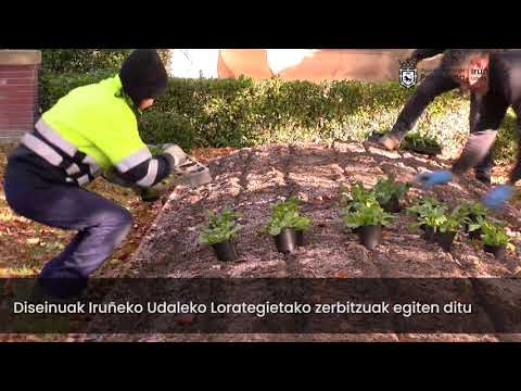 Plantación de más de 48.100 ejemplares de bulbos y plantas de flor para parterres (euskera)
