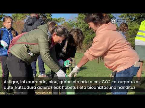 VIDEO PLANTACION AGUSTINOS