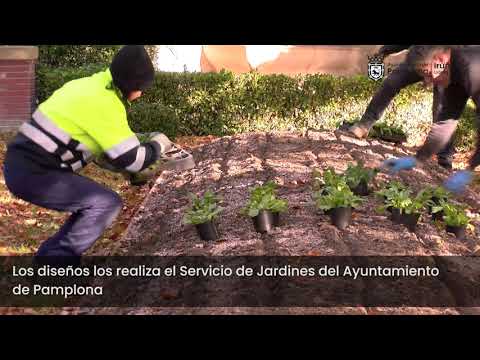 Plantación de más de 48.100 ejemplares de bulbos y plantas de flor para parterres