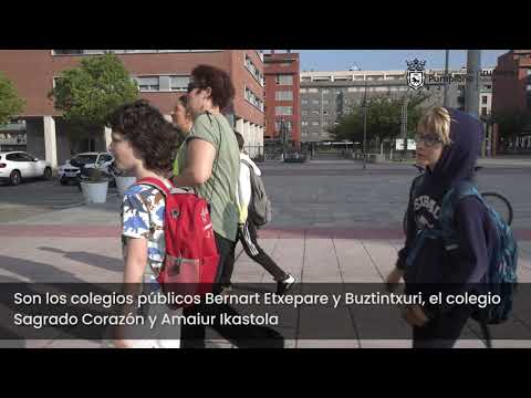 Enlace vídeo caminos escolares