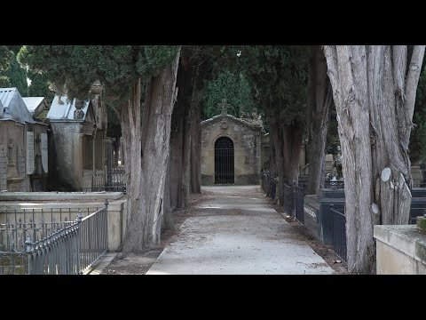 El cementerio municipal San José de Pamplona realizó en 2024 3.080 servicios funerarios