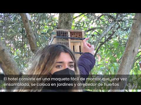 Hotel insectos. Biodiversidad
