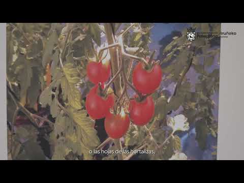 Exposición de divulgación científica sobre el nitrógeno en el Museo de Educación Ambiental
