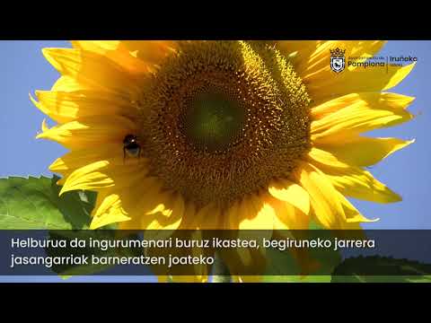 Udako lantegiak Ingurumen Hezkunztako Museoan