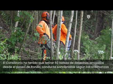 El Ayuntamiento limpia el talud sobre la cuesta de Santo Domingo