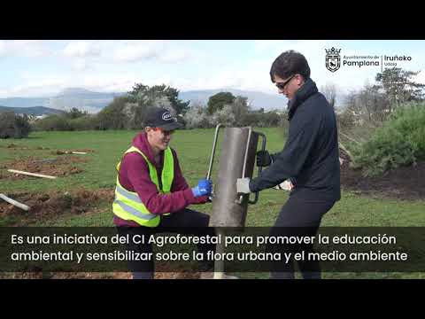 Más de un centenar de estudiantes de FP Especial plantan árboles en Mendebaldea