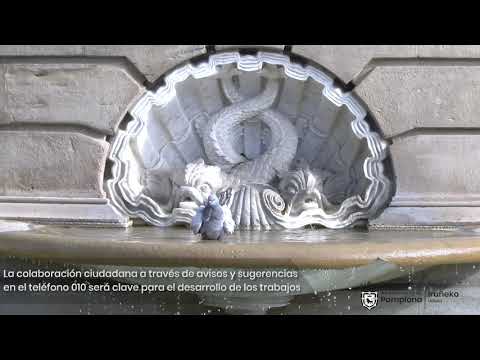 Control de la población de palomas de la ciudad