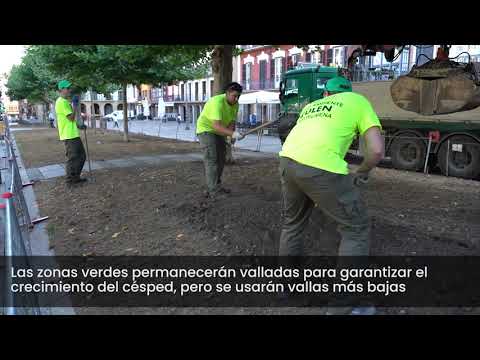 Resiembra de los jardines de la Plaza del Castillo para recuperar las zonas verdes tras Sanfermines