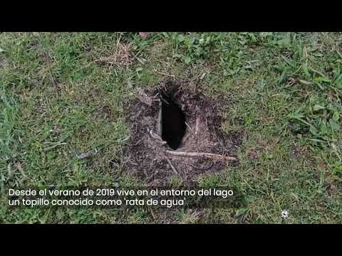 Nueva señalización informativa del lago de Mendillorri