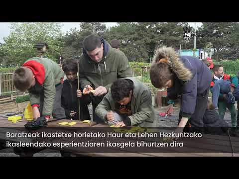 Eskola Baratze Ekologikoen Programa