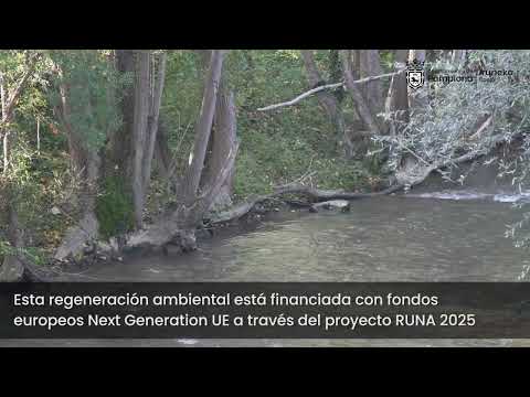 El proyecto de reserva fluvial del molino de Ilundáin recupera el entorno del río