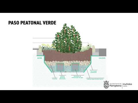 Pasos peatonales verdes