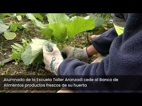 Recolección de verdura en la Escuela Taller municipal de Aranzadi