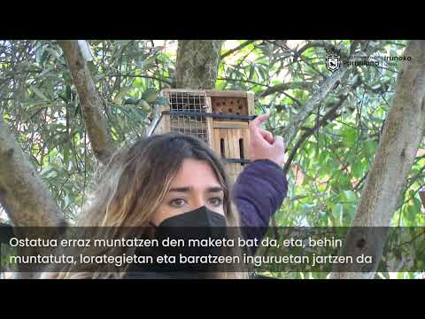 Hotel insectos. Biodiversidad (euskera)