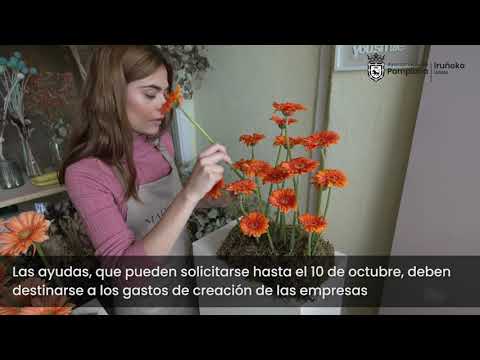 Ayudas del Ayuntamiento de Pamplona para el emprendimiento joven