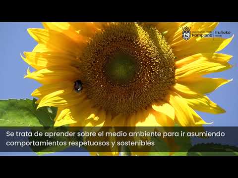 Talleres de verano en el Museo de Educación Ambiental