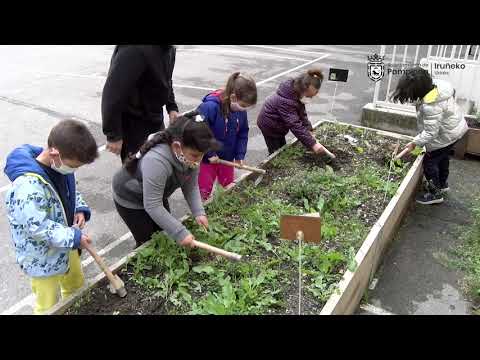 video huertos ecologicos escolares