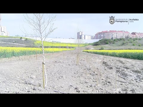 Nuevo corredor natural entre Etxabakoitz norte y sur