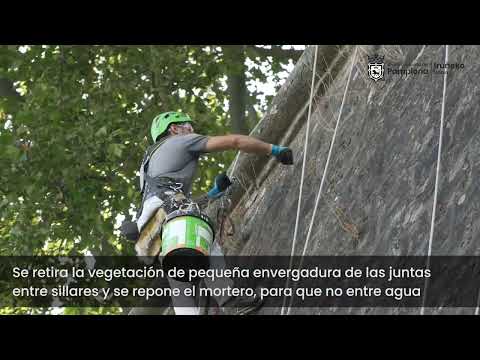 Limpieza vertical de murallas