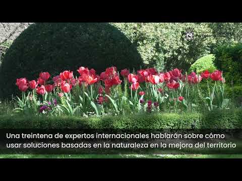 Presentación del Congreso de Parques y Jardines Públicos - PARJAP 2024 