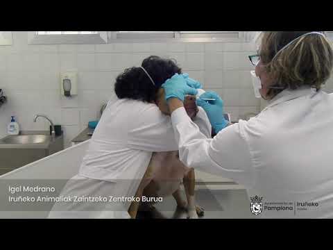 Vídeo Centro Atención a Animales euskera 