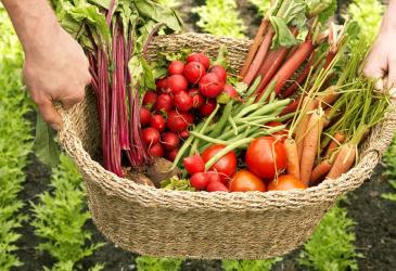 Huerta 