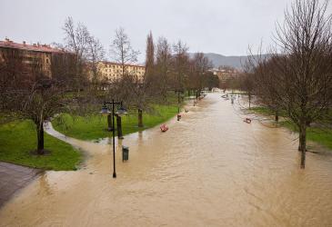 Crecida del Arga