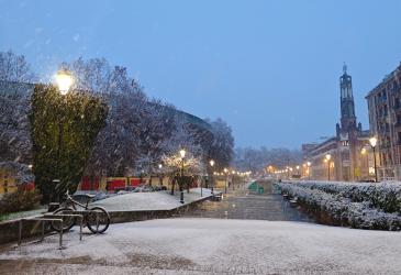 nieve