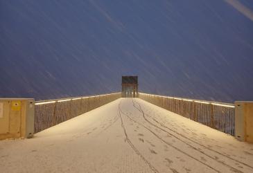 nieve
