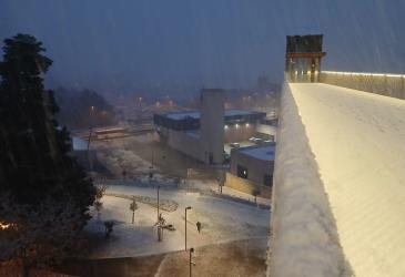 nieve