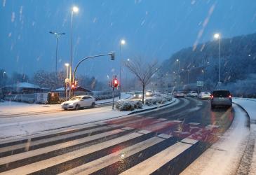 nieve