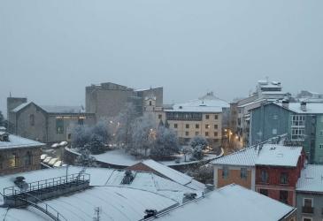 nieve