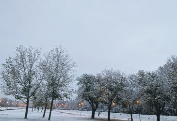 nieve