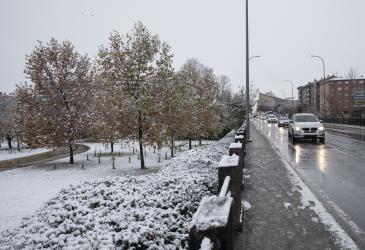 nieve