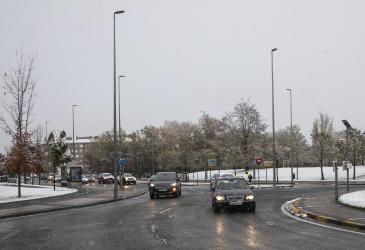 nieve