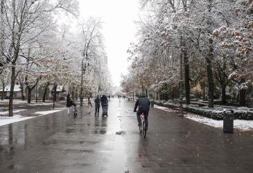 nieve