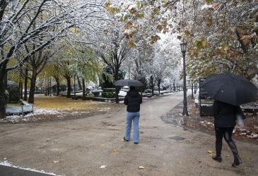 nieve