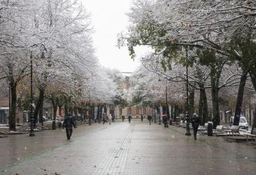 nieve