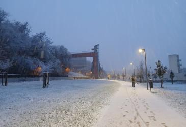 nieve