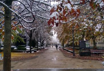nieve
