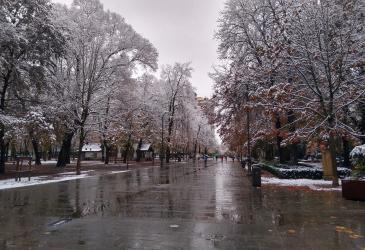 nieve