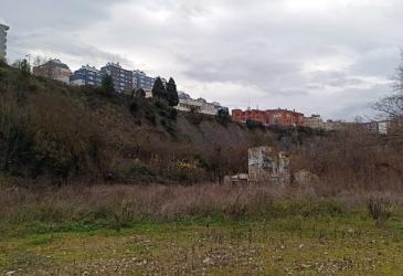 molino_1.jpg
