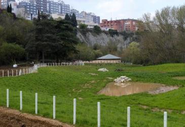 molinofinal2.jpg