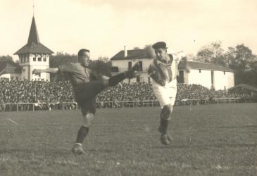 AMP001221.jpg