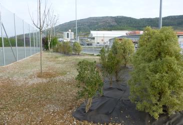 P1080291.JPG