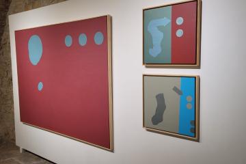 11e80647-4f5a-43da-a607-6165b34927bb.jpg